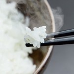ラップの代わりにシリコンラップ 丸型 大小2Pセット