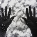 防水ノート、ライトインザレイン