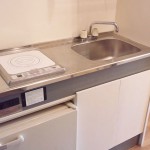 ゴキブリの巣を除去、RIDDEX PLUS
