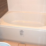お風呂のドッキリネタに最適、かえる風呂