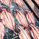 骨まで食べられる干物「まるとっと」あじ開き塩味(一枚入り)