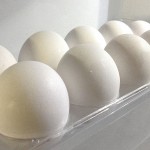 調湿脱臭剤 DRYING EGG(soil)