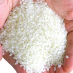 純国産お米のつみき 白米色(ピープル)