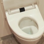 便座用取っ手(サンコー)