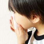 はなかみ練習器 はなかめるゾウ(カネソン)