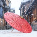 KANZIKI(カンジキ、ヴィムラム)